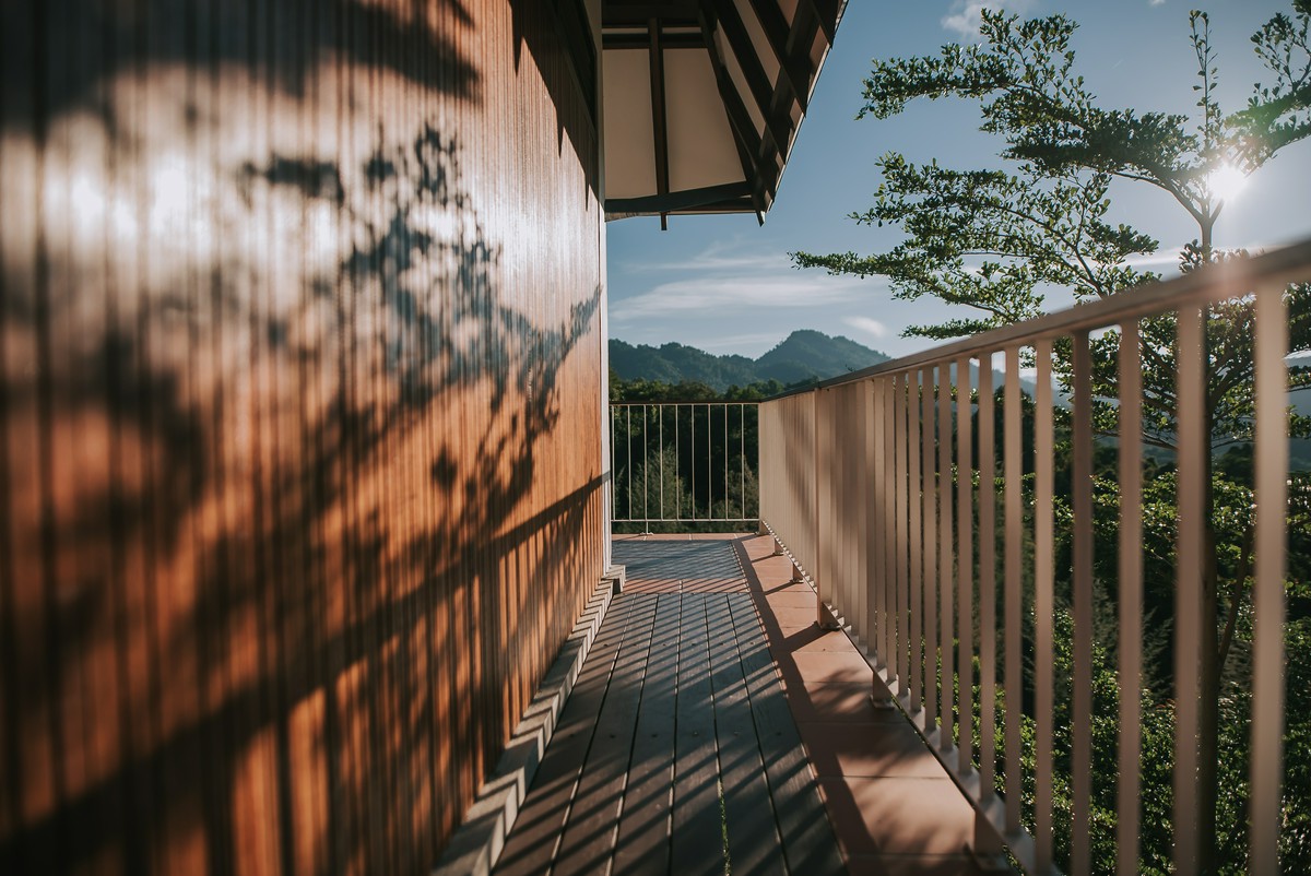 Gdzie kupić solidne drewno na więźbę dachową?